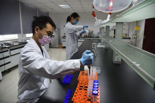 以技術(shù)為盾，護航人民健康 記開封市食藥檢驗所的疫情逆行者